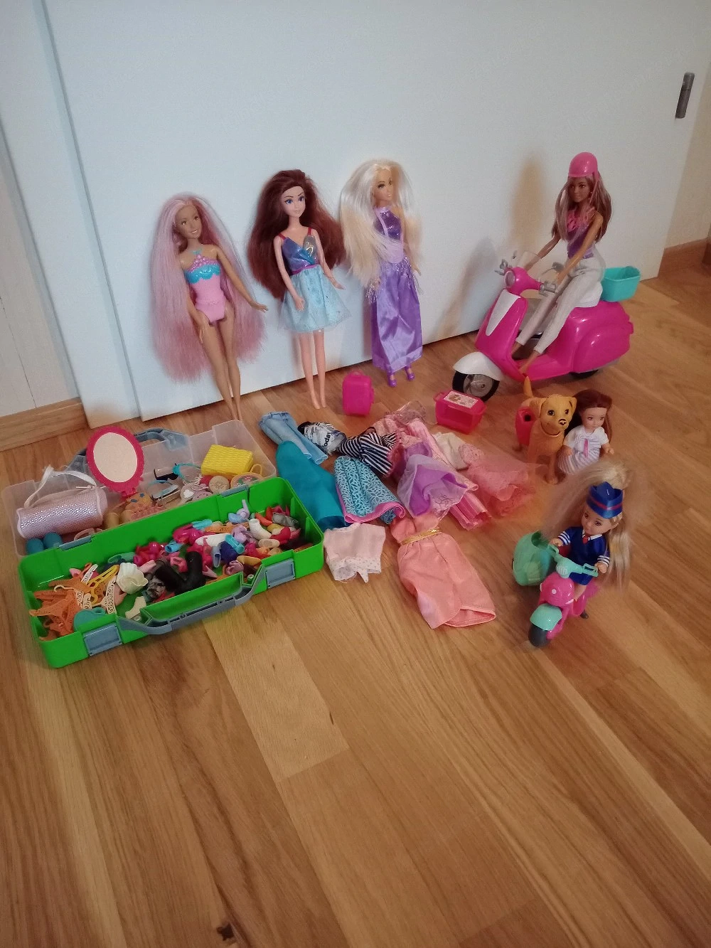 Barbie mit Zubehör 