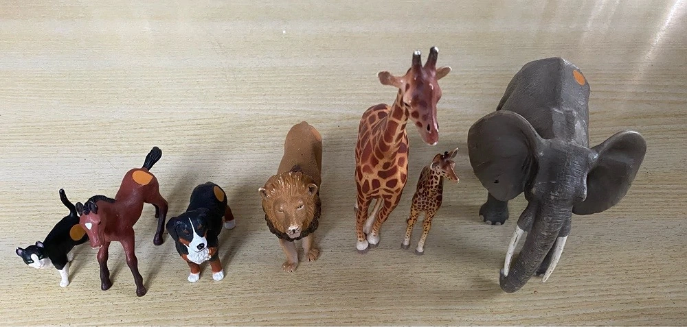 Tip Toi Tiere