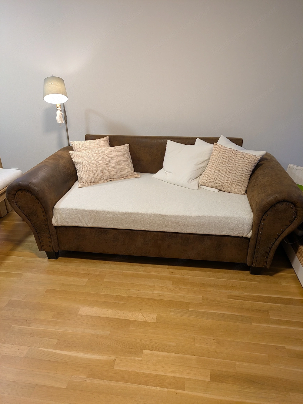 Ledercouch mit Bettfunktion und Sessel