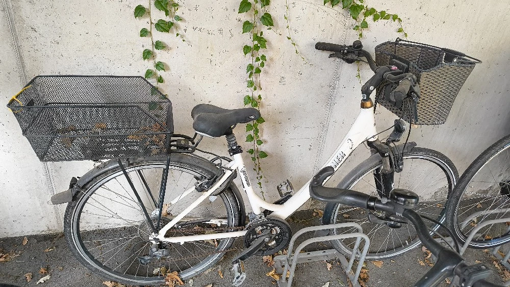 Fahrräder günstig abzugeben