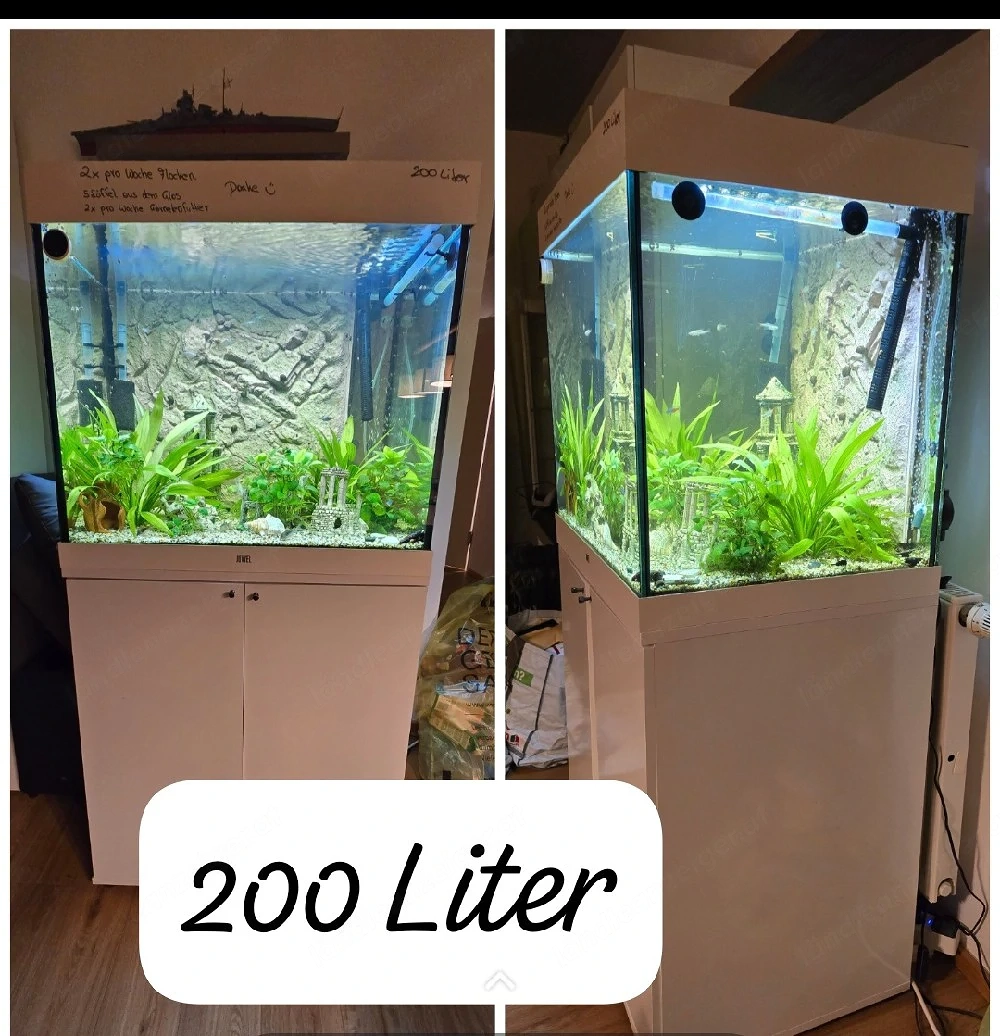 200 Liter Aquarium