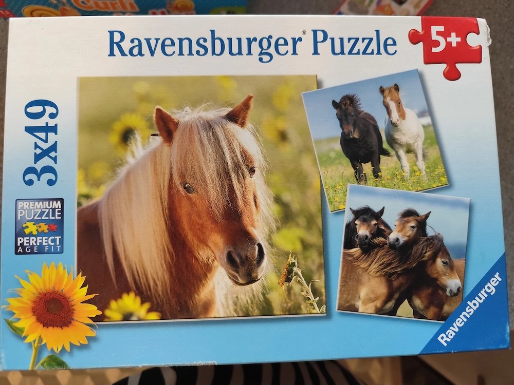 Verschiedene Kinder Puzzle 