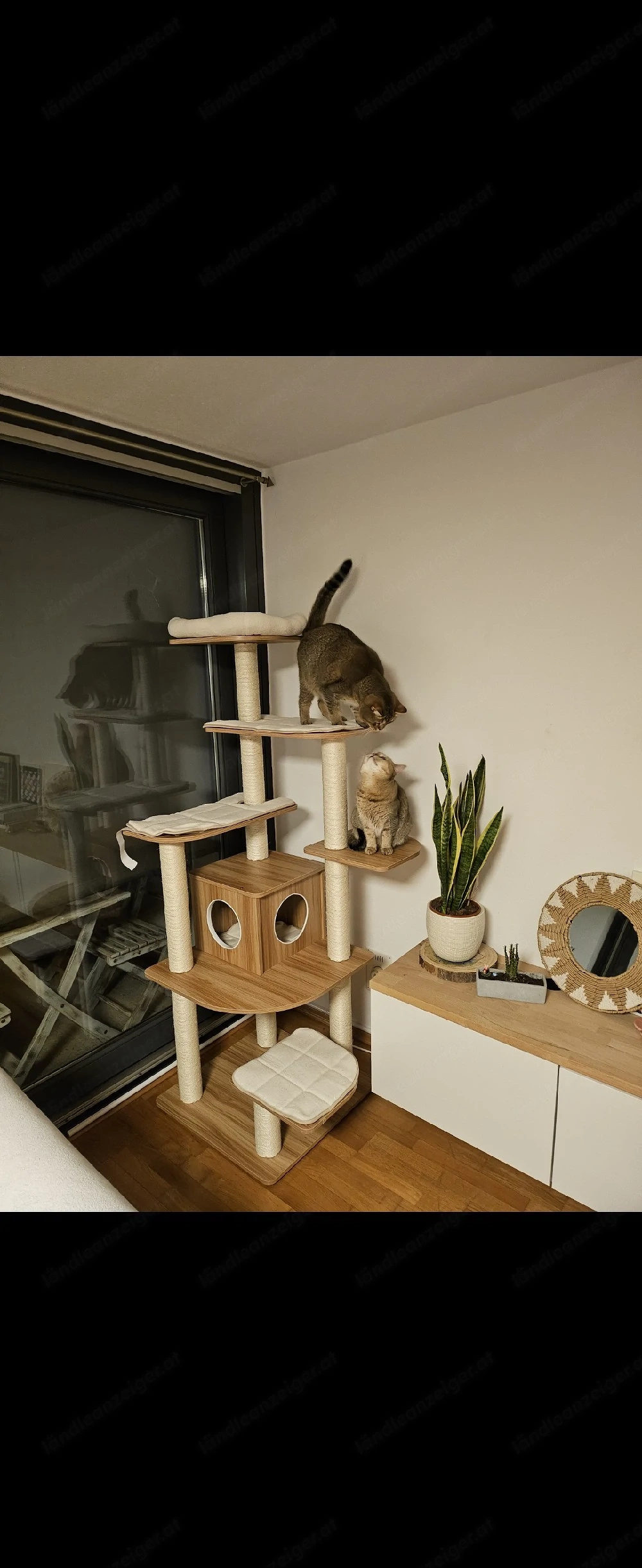 Edler Katzenturm aus Holz
