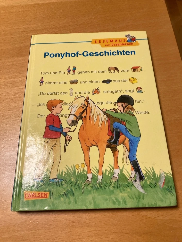 Ponyhof Geschichten Buch