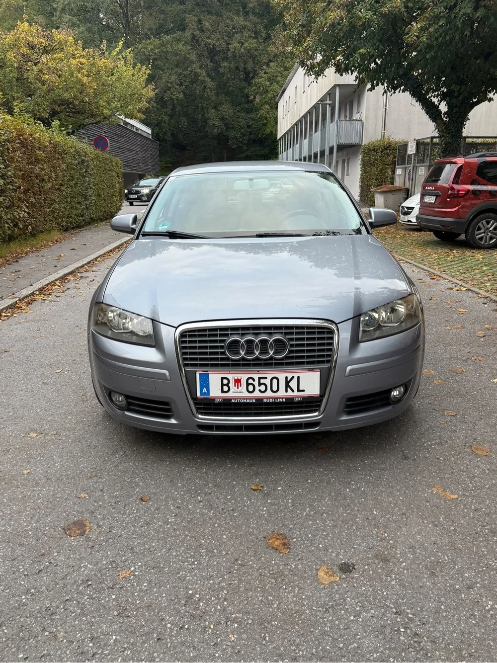 Audi A3 8p 1.9Tdi