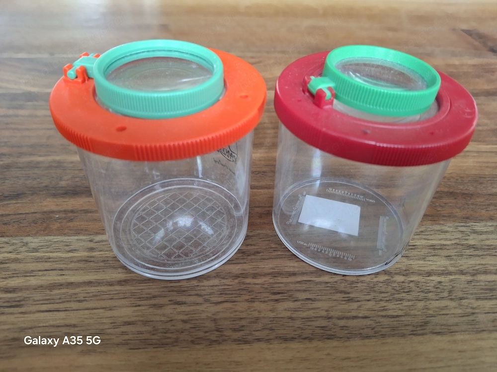 Becherlupen für Kinder