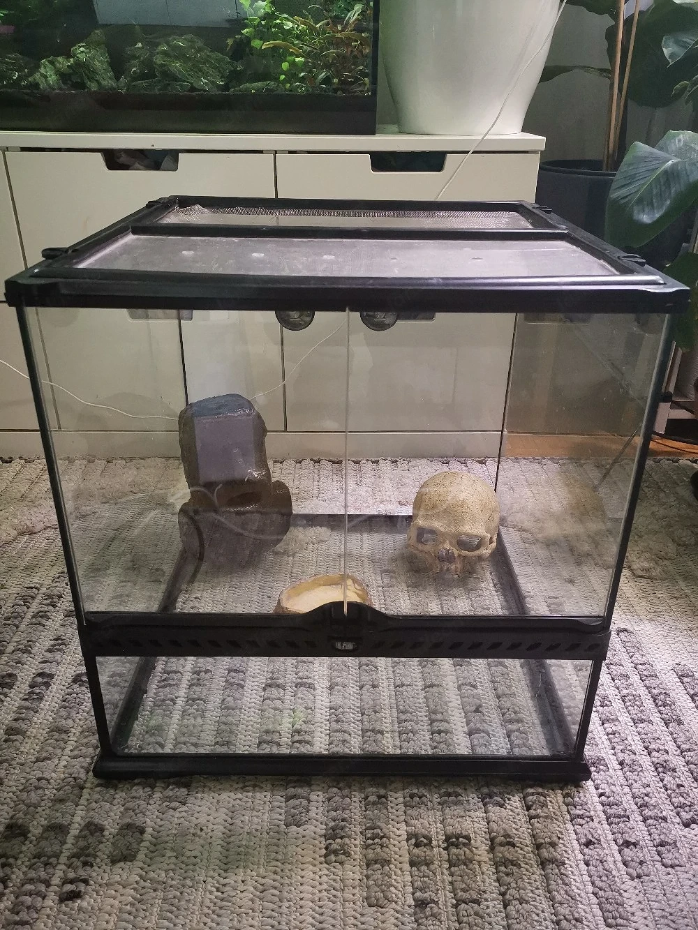 Exo Terra Terrarium 