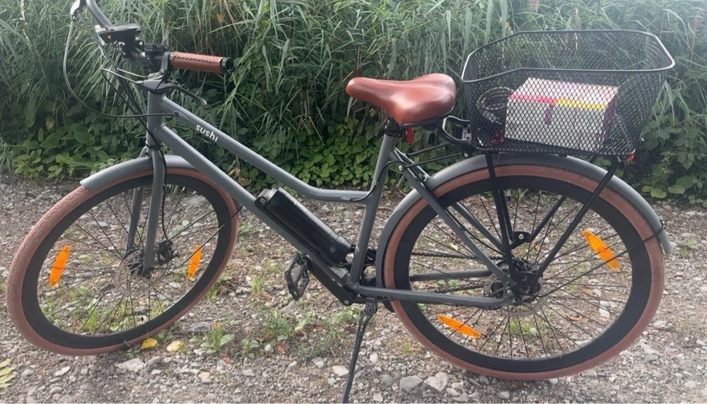 Sushi Ebike Californiaroll