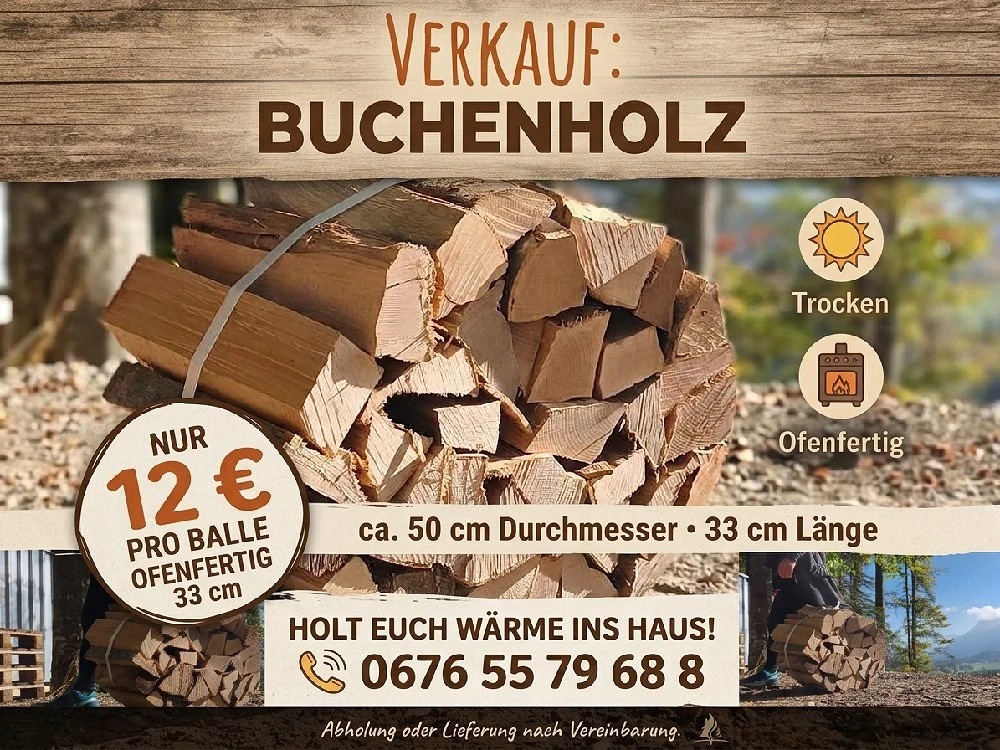 Buchenholz 