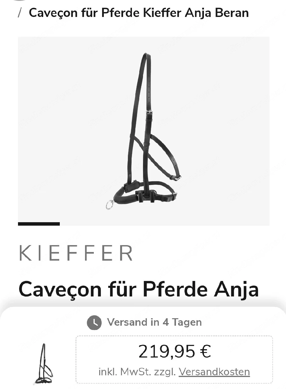 Kappzaun Anja Beran
