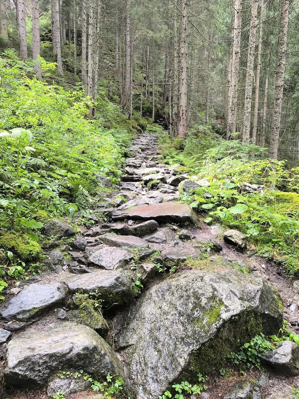 Zärtlichkeiten Küssen Sex