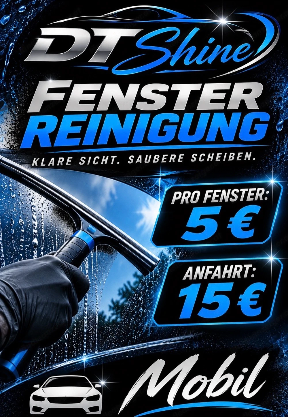Fenster Reinigung
