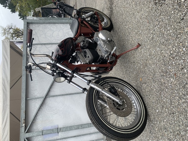 Pignon de sortie de boite Sifam pour Moto Derbi 50 Senda R Drd Devil