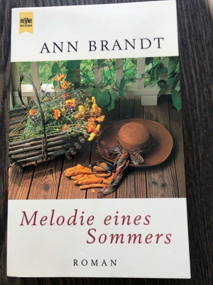 Roman Melodie eines Sommers, Ann Brandt