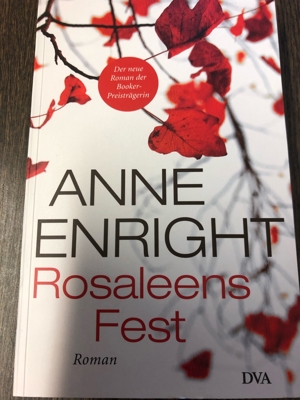Rosaleens Fest, Anne Enright Bild 1