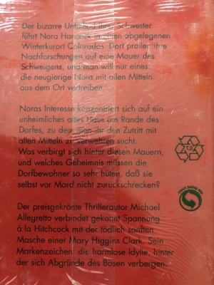 Die Frau, die das Vergessen störte, Michael Allegretto Bild 2