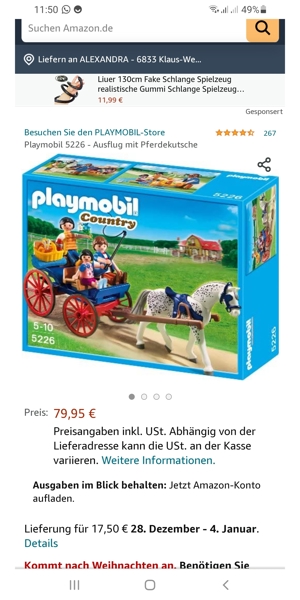 Playmobil 5226 - Ausflug mit Pferdekutsche Bild 2