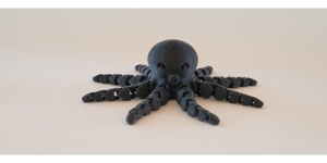 3D gedruckter Oktopus Bild 1