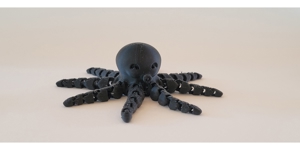 3D gedruckter Oktopus Bild 3
