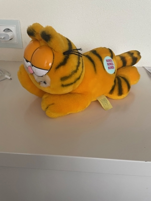 Garfield Bild 1