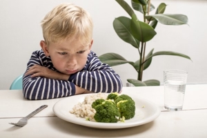Onlinevortrag "wählerisches Essverhalten (Picky Eating) bei Kindern" 23.6.24 Bild 2