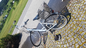 Damen-Stadt-Land-Rad gepflegt mit Heckkorb, Sicherheitsreflektoren, viele Extras-exkl. Satteltasche Bild 1