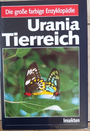 Die große Enzyklopadie; Urania Tierreich: Insekten; Bild 1