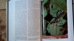 Die große Enzyklopadie; Urania Tierreich: Insekten; Bild 8