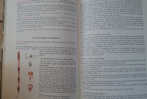 Naturkundliches Arbeitsbuch; Band 1, 2, 3 und 4; Fünftes bis neuntes Schuljahr; Bild 6