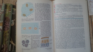 Naturkundliches Arbeitsbuch; Band 1, 2, 3 und 4; Fünftes bis neuntes Schuljahr; Bild 3