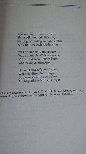 Ottilie von Goethe; Goethes Schwiegermutter; Ein Portrait; Bild 7