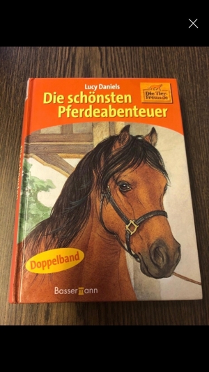 Für Pferdefans: verschiedene Bücher etc. ab 1,50 Euro Bild 2