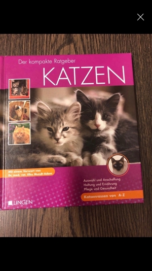 Für Katzenfans: diverse Bücher etc. ab 1,50 Euro Bild 1