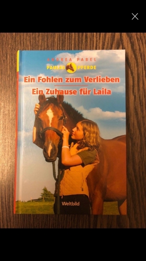 Für Pferdefans: verschiedene Bücher etc. ab 1,50 Euro Bild 4