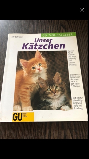 Für Katzenfans: diverse Bücher etc. ab 1,50 Euro Bild 6