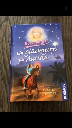 Für Pferdefans: verschiedene Bücher etc. ab 1,50 Euro Bild 9