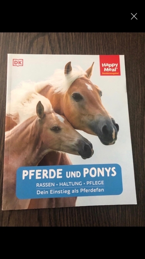 Für Pferdefans: verschiedene Bücher etc. ab 1,50 Euro Bild 5