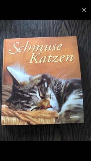 Für Katzenfans: diverse Bücher etc. ab 1,50 Euro Bild 5