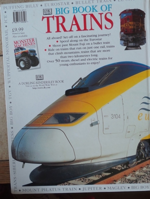 Big Book of Trains Bild 2