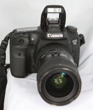 Canon 7D II mit SIGMA 18-35mm 1.8 ART usw ... Bild 7