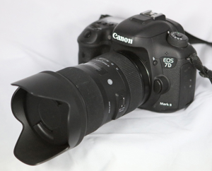 Canon 7D II mit SIGMA 18-35mm 1.8 ART usw ... Bild 5
