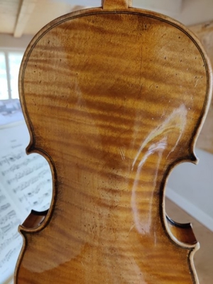 Violine Bild 6