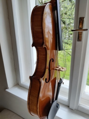 Violine Bild 3