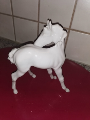 Pferd-Fohlen Kaiser Porzellan weiß glänzend Bild 3