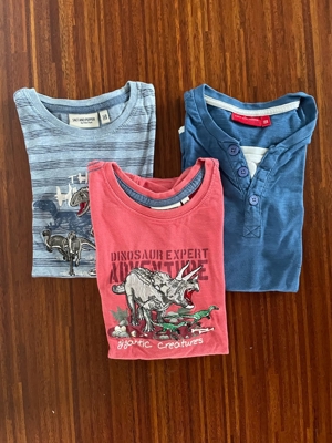 3 tolle T-Shirts, Größe 128, Salt & Pepper, mit Dinosaurier Bild 1