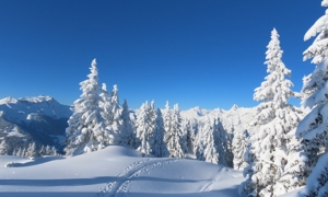Schnee_Genuss Momente Verwall, Schneeschuhwanderung mit Wanderführer/in `gemsli Stefanie Bild 1