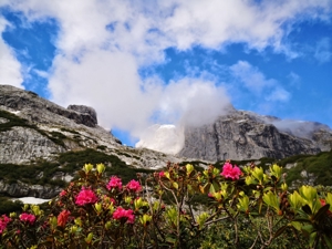 ZWEITÄGIGE WANDERUNG Gemsli_Marsch Rätikon: Montafon, Vorarlberg geführt von Wanderführer/in `gemsli