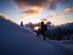 Geschenkgutschein Idee: geführte Schneeschuh ABENDWANDERUNG Alpen_Blick, mit Wanderführer in gemsli