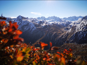 die schönsten Wanderungen im Montafon - Silvretta, Rätikon, Verwall - mit Wanderführer in  gemsli Bild 2