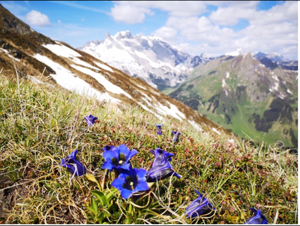 die schönsten Wanderungen im Montafon - Silvretta, Rätikon, Verwall - mit Wanderführer in  gemsli Bild 7